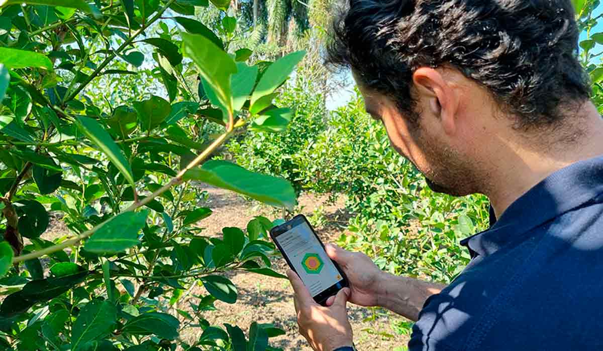Objetivo é superar o desafio da capilaridade na extensão rural, com auxílio das tecnologias da informação e comunicação Objetivo é superar o desafio da capilaridade na extensão rural, com auxílio das tecnologias da informação e comunicação