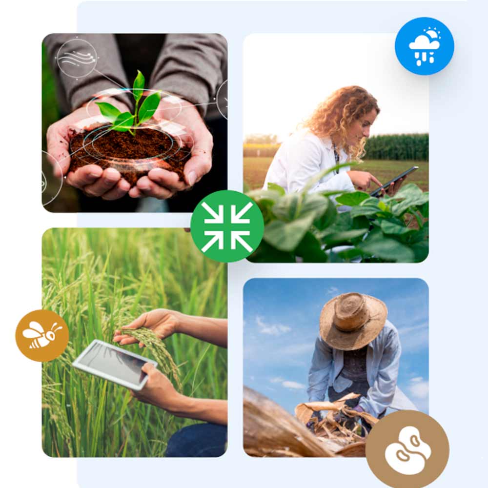A Ater+ Digital disponibiliza informação relevante sobre as principais culturas alimentares para a toda sociedade, especialmente para o setor agropecuário A Ater+ Digital disponibiliza informação relevante sobre as principais culturas alimentares para a toda sociedade, especialmente para o setor agropecuário