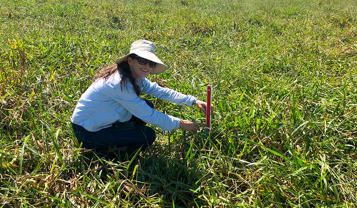 Pesquisadora Márcia Silveira da Embrapa Pecuária Sul em trabalho de campo