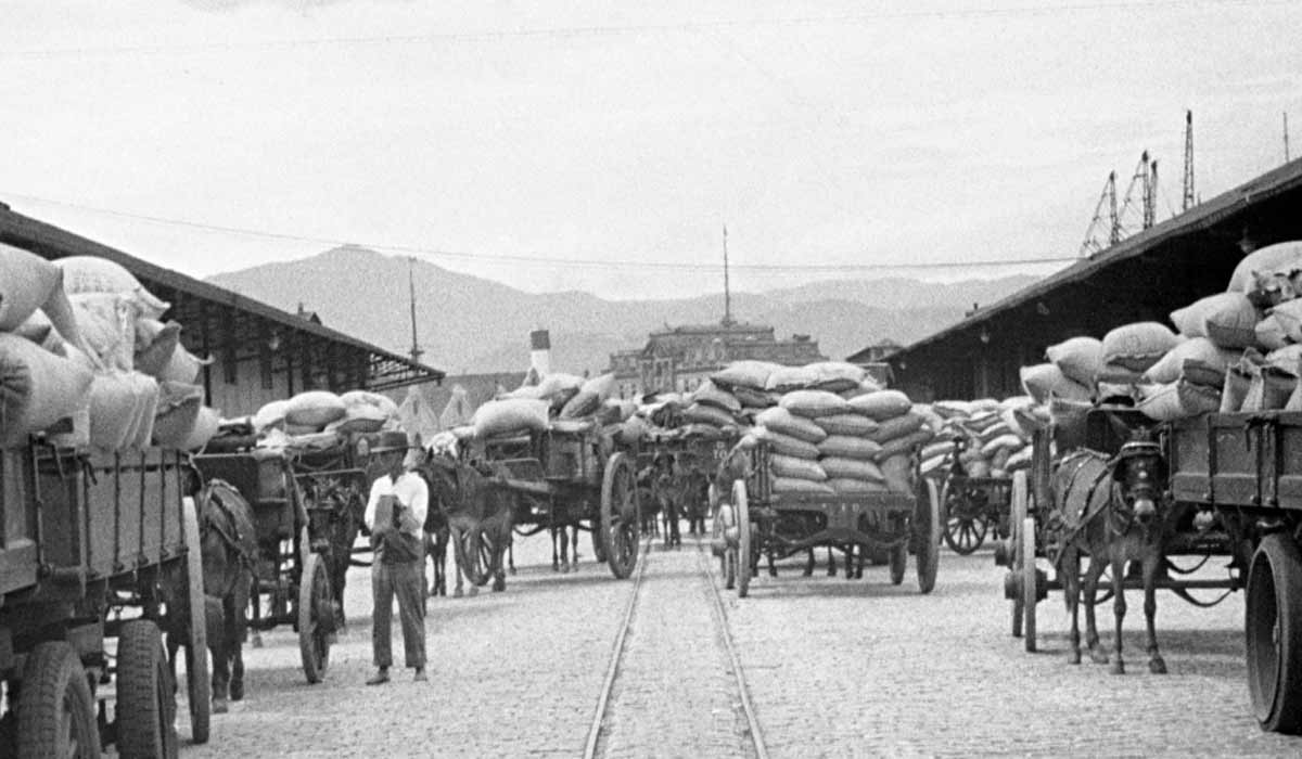 Chegada do café para embarque no Porto de Santos, 1928