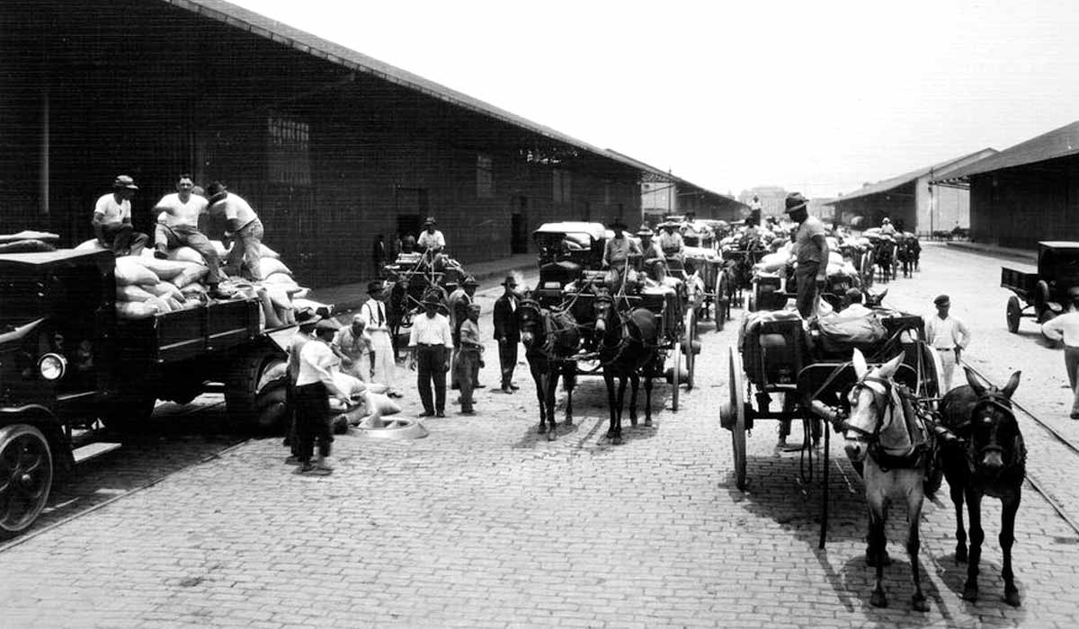 Chegada do café para embarque no Porto de Santos, 1928