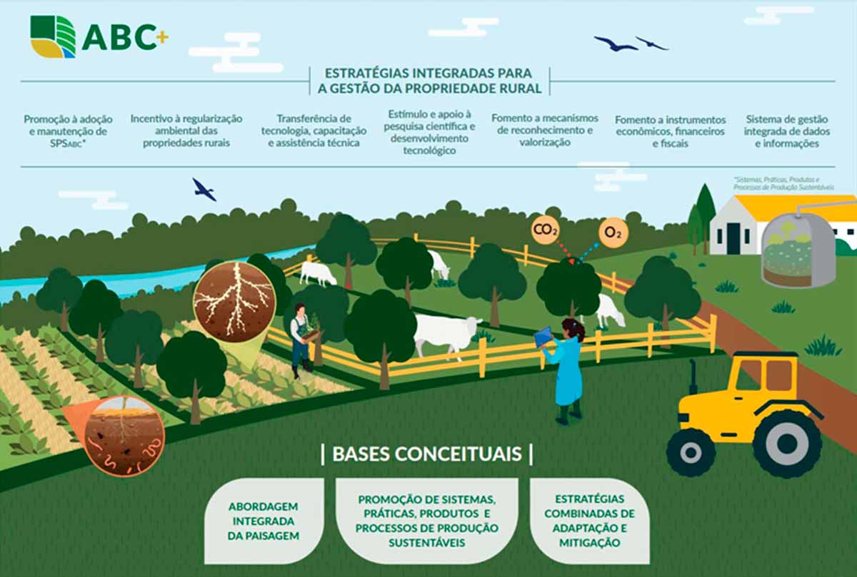 Bases conceituais do Plano ABC+