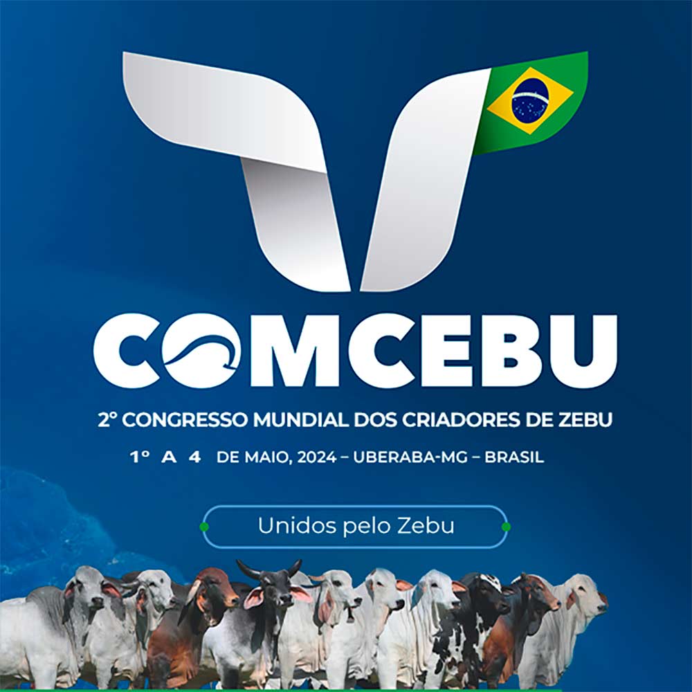 Chamada para o COMCEBU