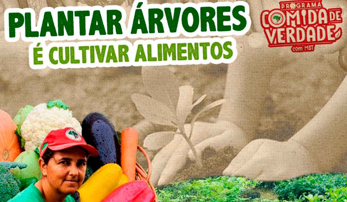 Programa do MST: "Plantar Árvores, Produzir Alimentos Saudáveis"