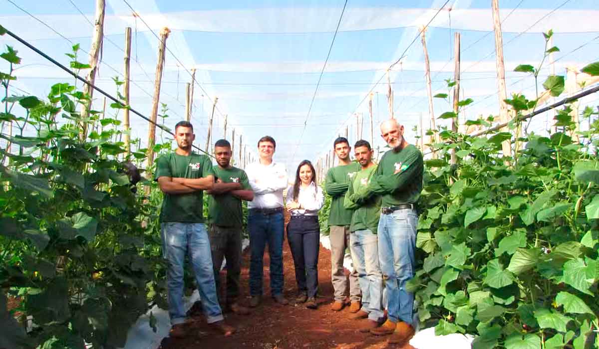 Andrey e Helena com seus colaboradores na propriedade em Uraí (PR)