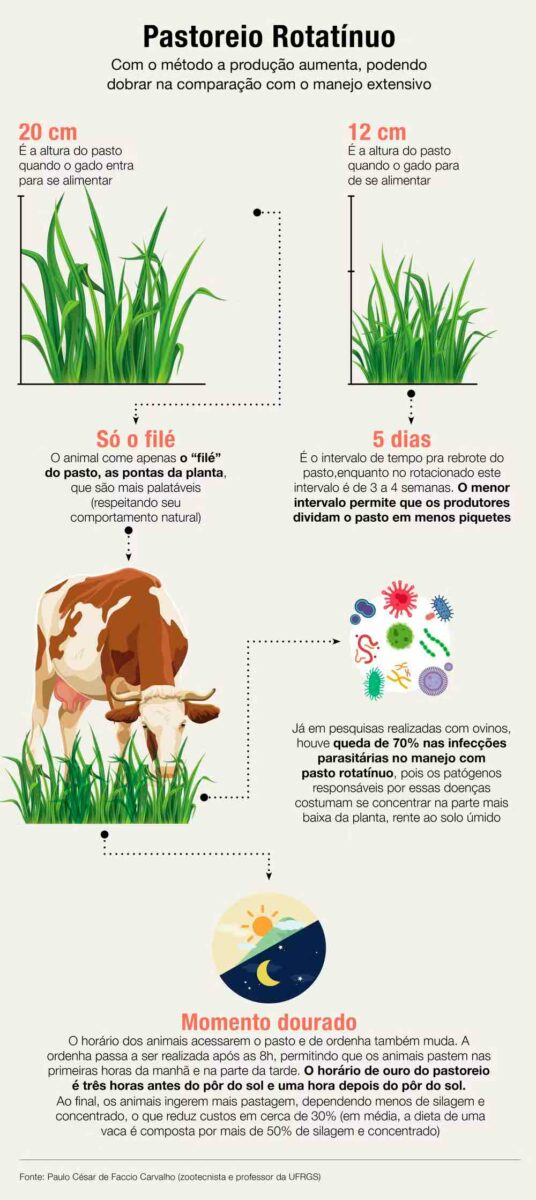 Esquema do pastoreio rotatínuo - Ilustração: Thiago de Jesus/Globo Rural