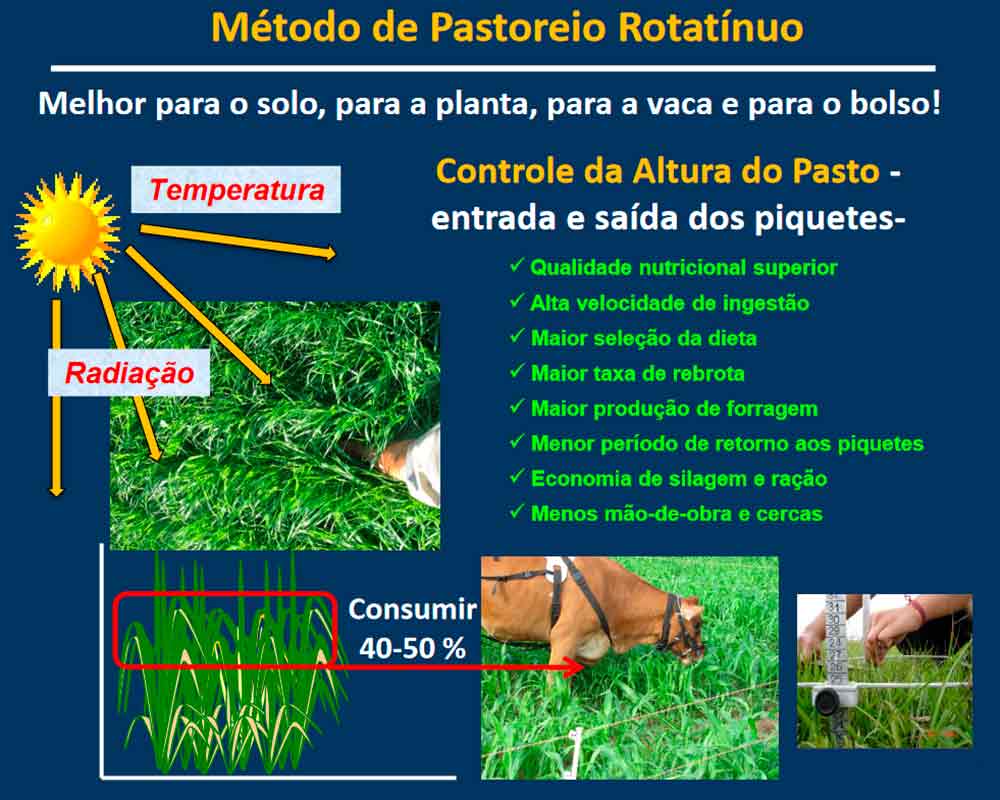 Vantagens do pastoreio rotatínuo