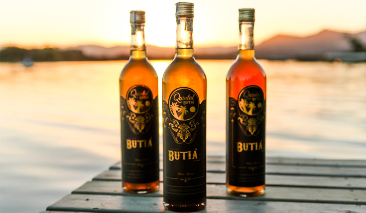 Cachaça de butiá