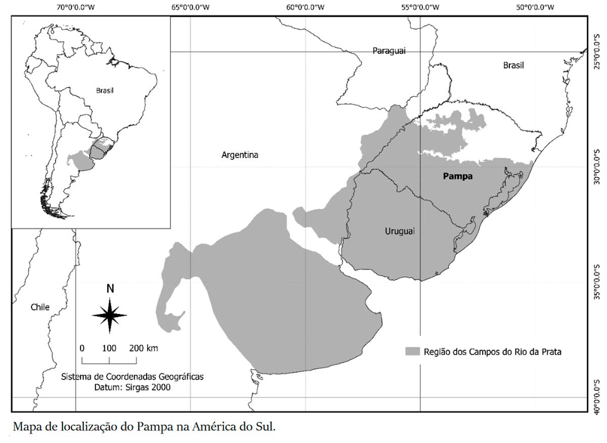 Mapa do bioma pampa