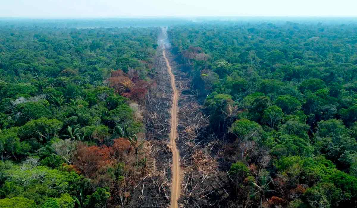 Desmatamento na floresta amazônica