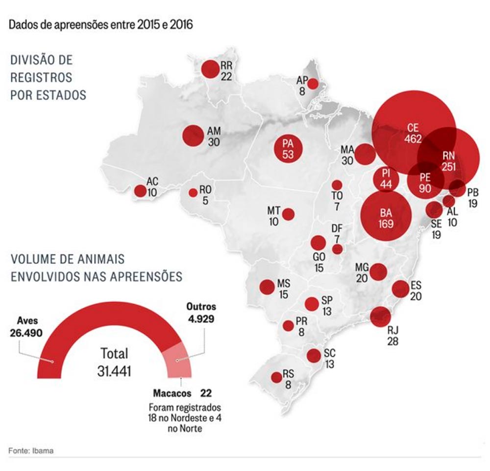 Dados de apreensões entre 2015 e 2016