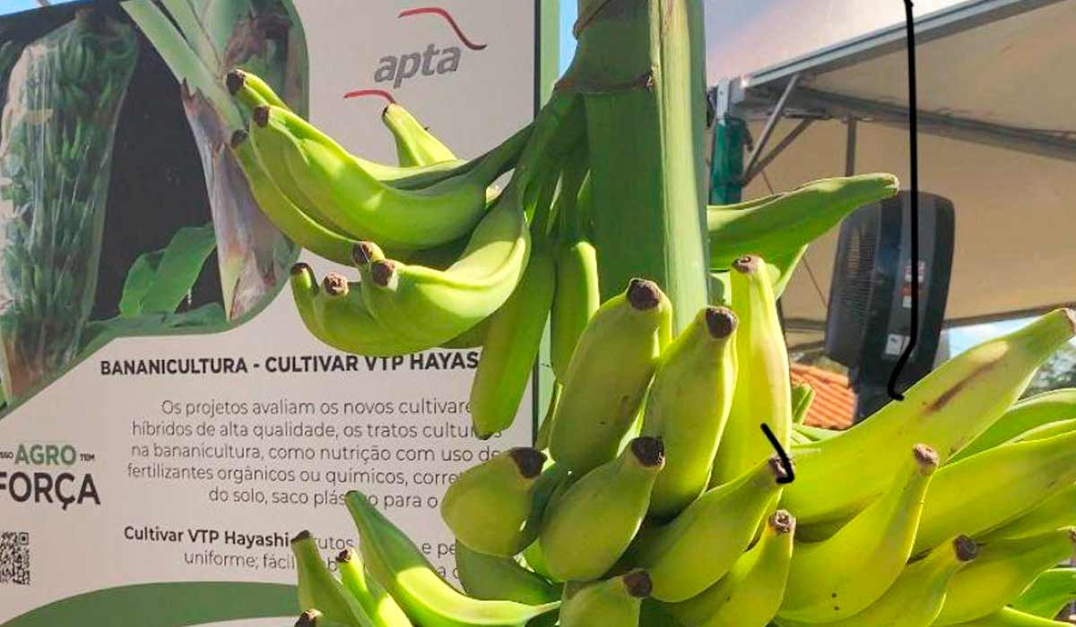 A VTP Hayashi exposta no estande da Apta na Agrishow