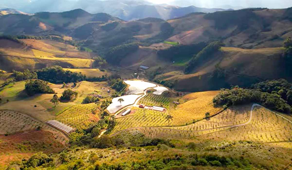 Vista da área de produção na Serra da Mantiqueira