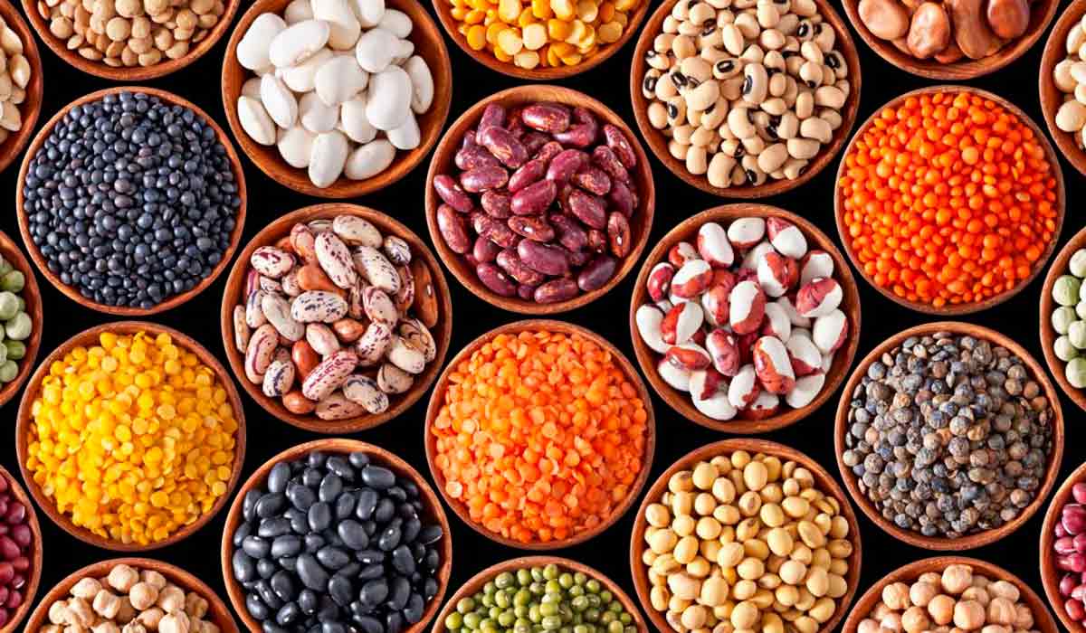 Pulses podem tem papel fundamental para atingir os objetivos do plano da FAO