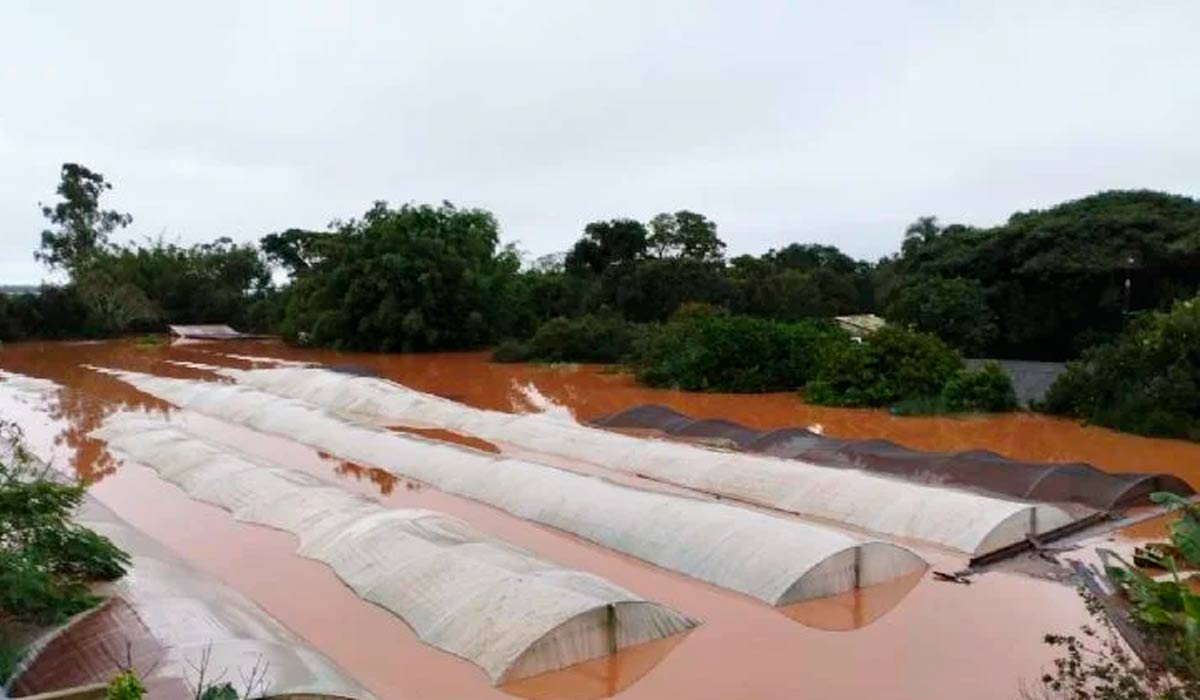 Área do Assentamento do IRGA afetada pela inundação