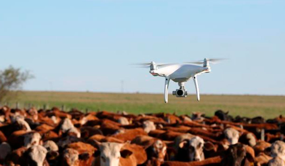 Drone na pecuária Drone na pecuária