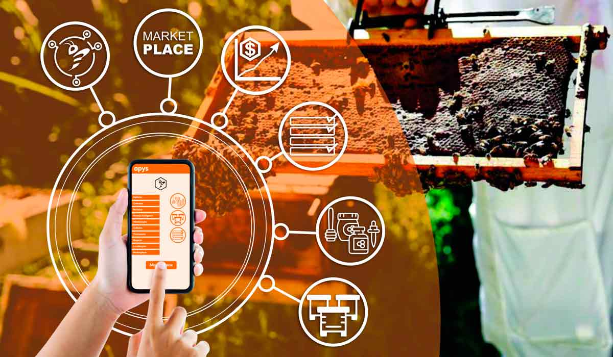 Ciência e tecnologia devem andar junto com o apicultor Ciência e tecnologia devem andar junto com o apicultor