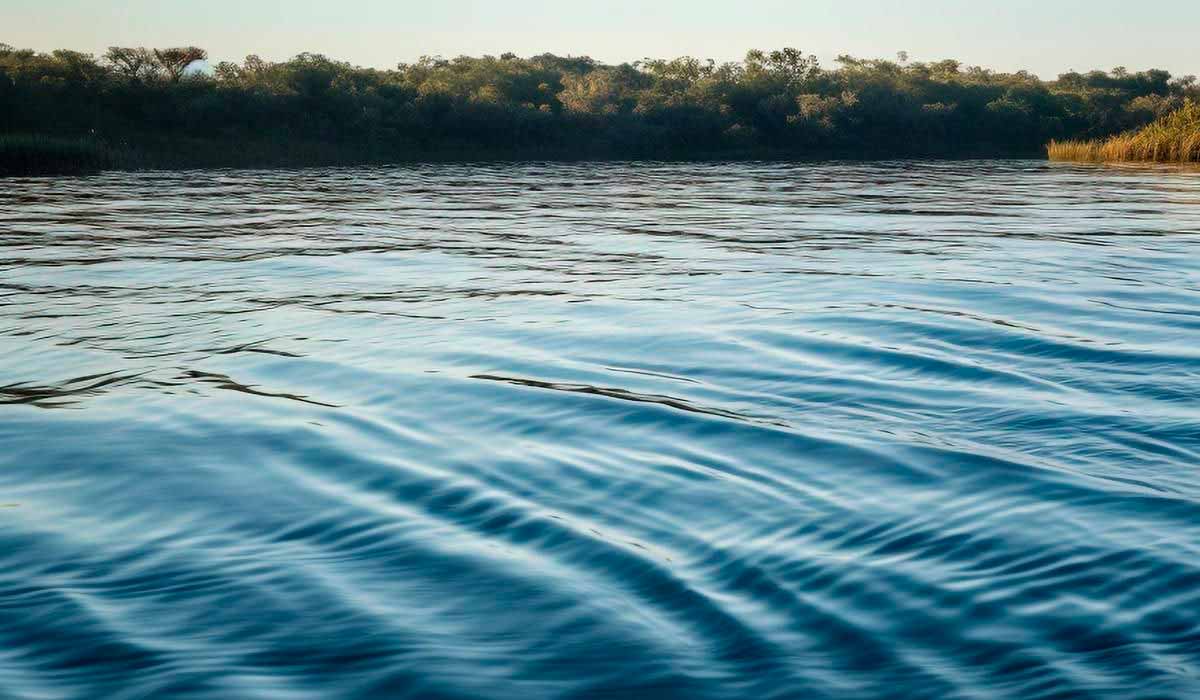Superexploração de águas subterrâneas compromete a vazão dos rios no Brasil