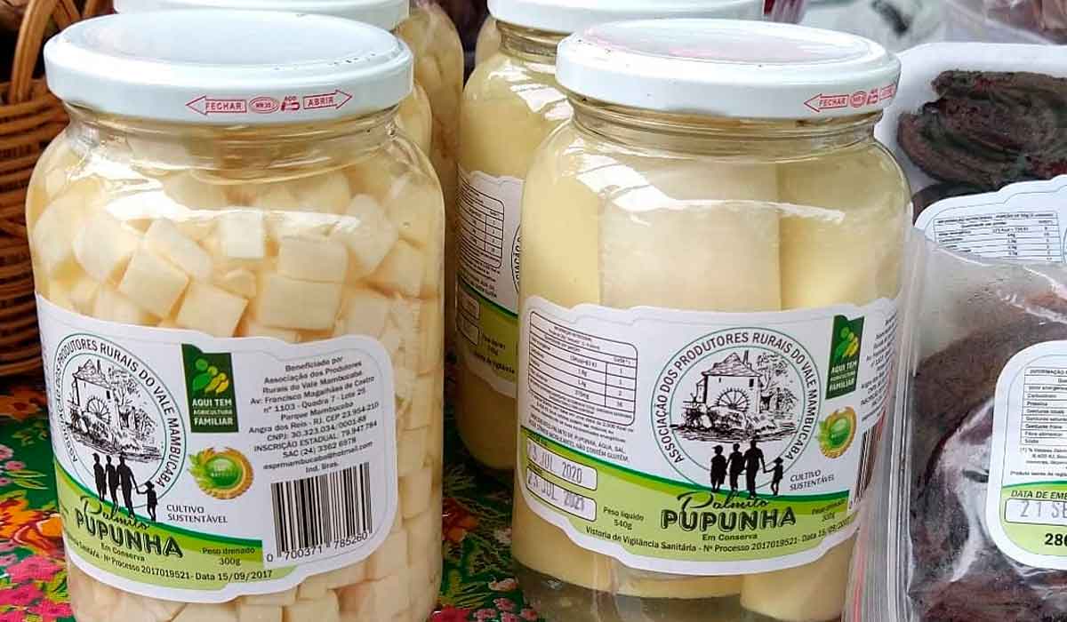 O palmito de pupunha em conserva O palmito de pupunha em conserva