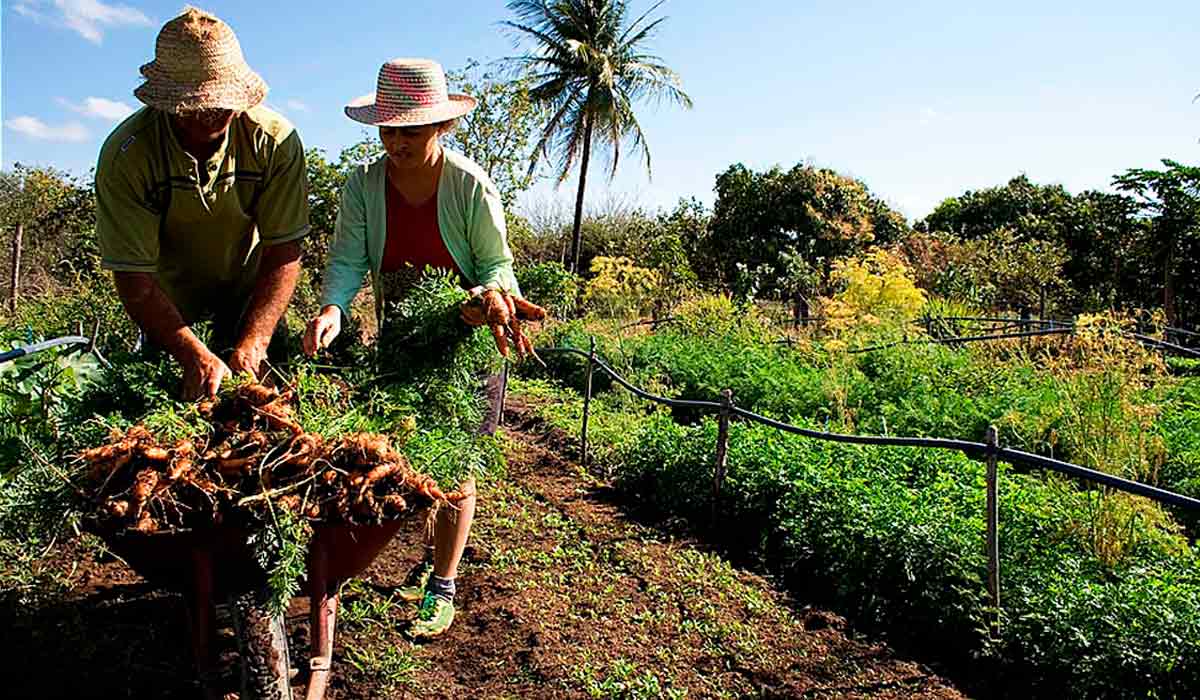 A falta de mecanismos que atendam as mulheres, as pessoas negras e os agricultores do norte e nordeste acabam reproduzindo as desigualdades no meio