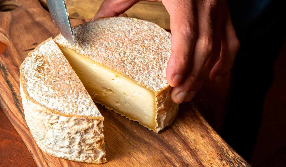 Queijo do Serro