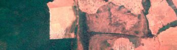 A floresta sendo destruída para implantação de agropecuária de baixa produtividade e baixo rendimento