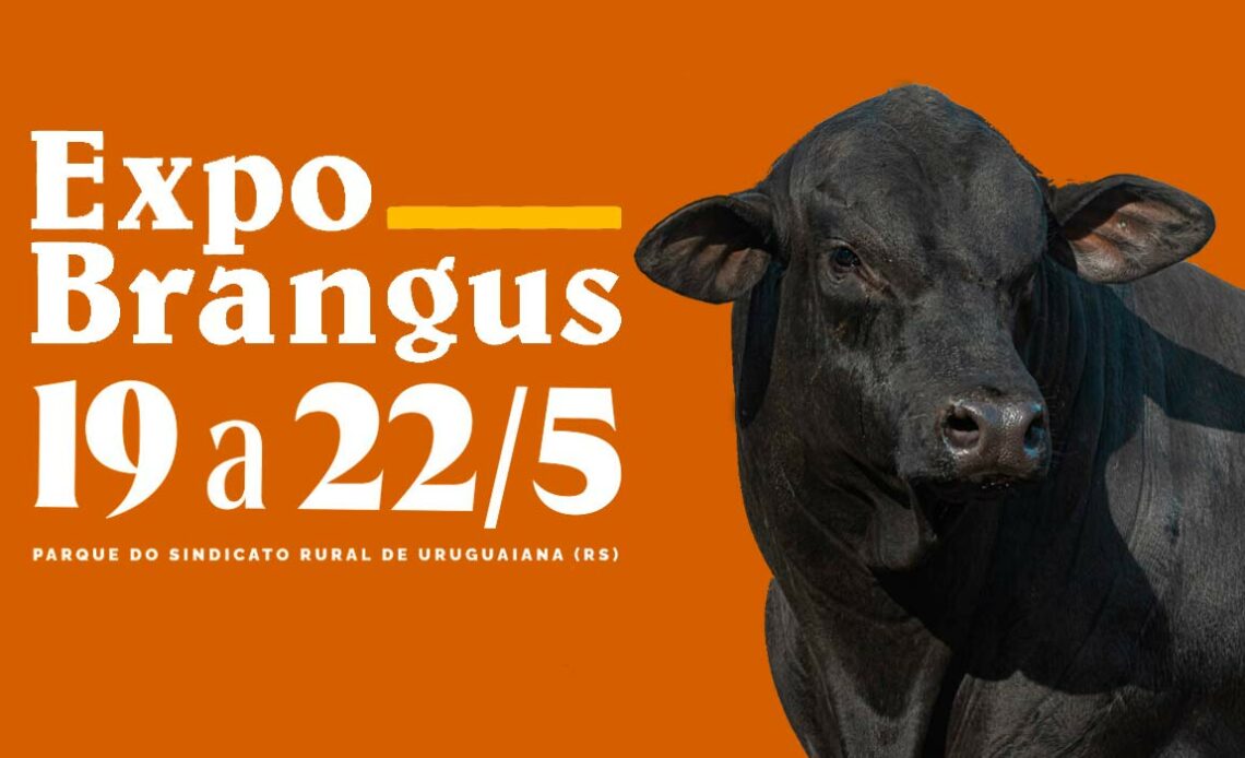 Chamada para a Expo Brangus 2025