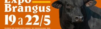 Chamada para a Expo Brangus 2025