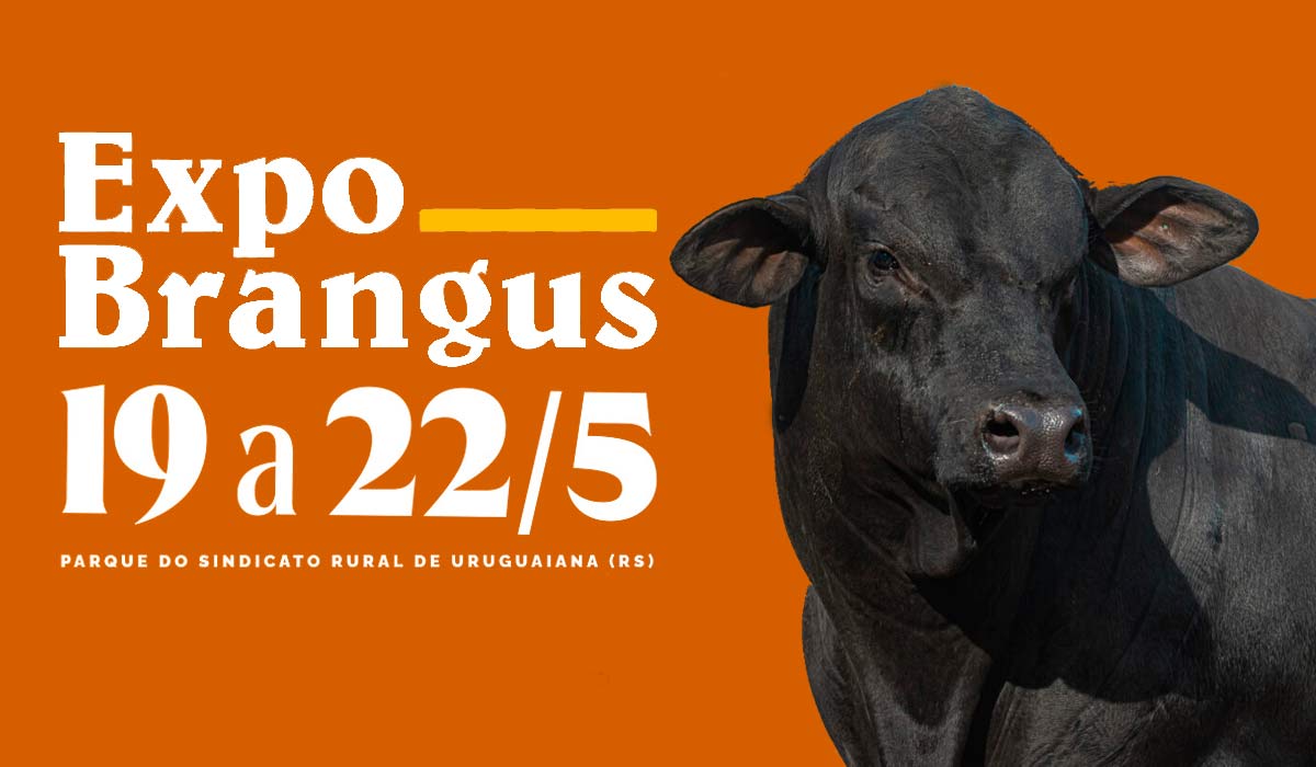 Chamada para a Expo Brangus 2025