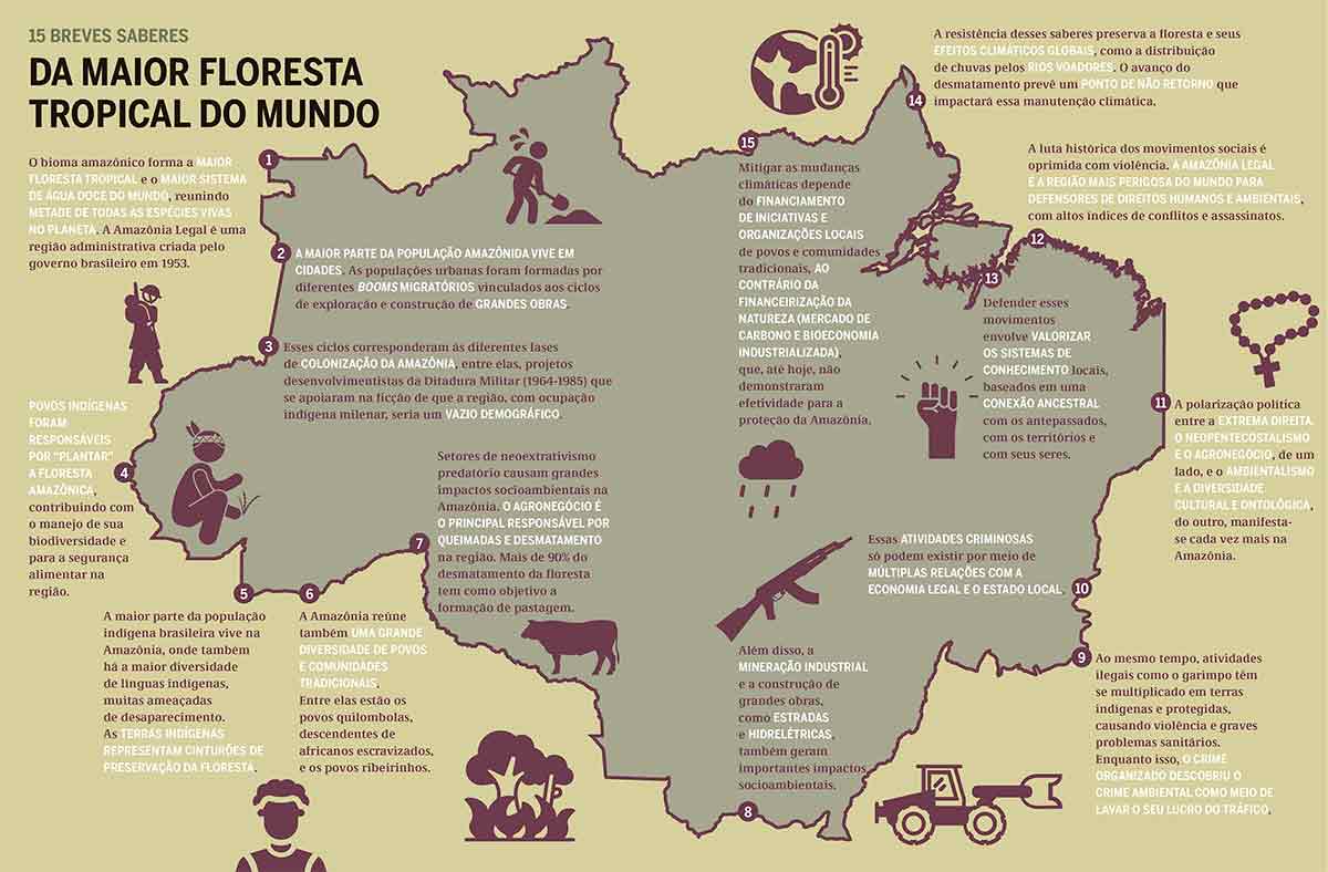 15 Breves Saberes da maior floresta tropical do mundo