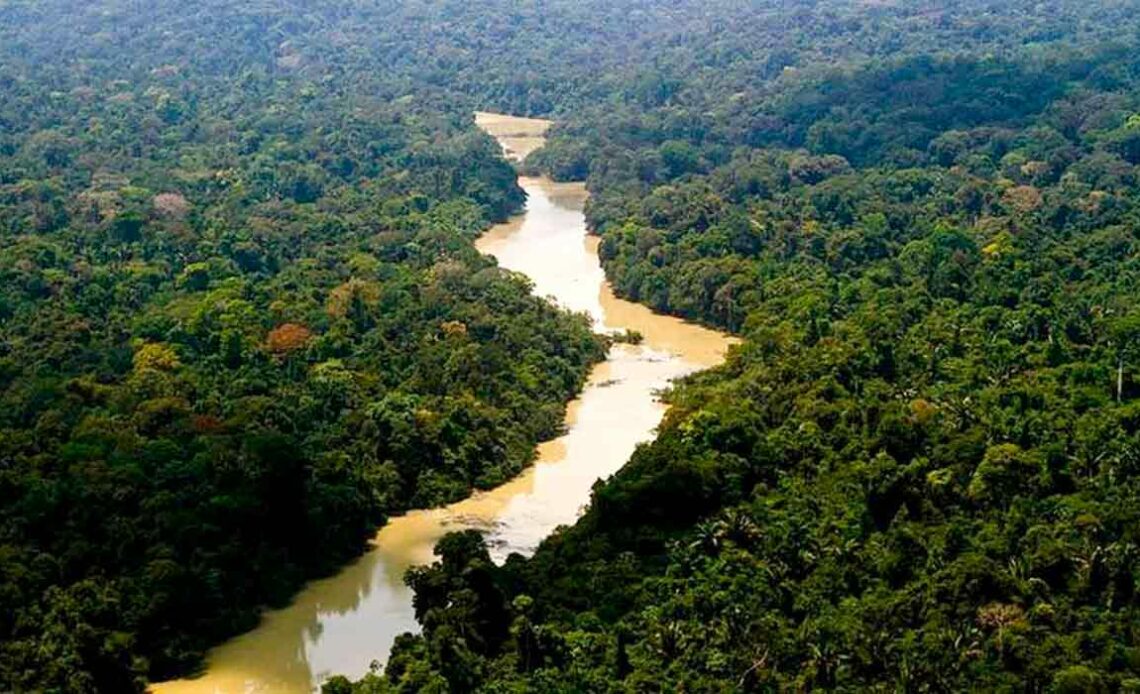Floresta amazônica - Foto: Leonardo Milano/ICMBio
