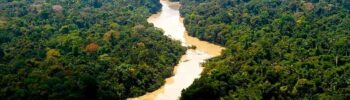 Floresta amazônica - Foto: Leonardo Milano/ICMBio