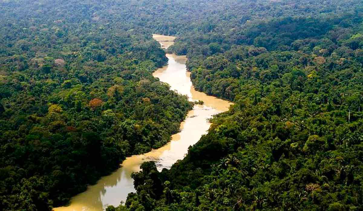 Floresta amazônica - Foto: Leonardo Milano/ICMBio