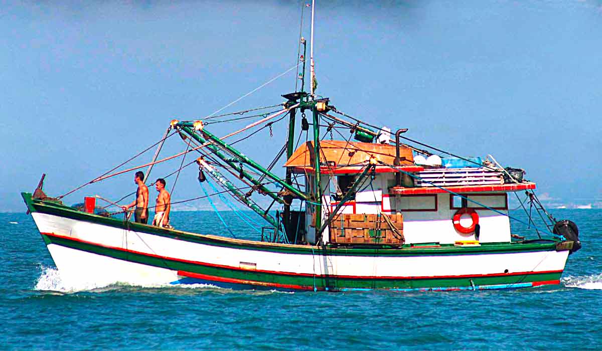 Embarcação de pesca deve estar adequada de acordo com os requisitos higiênico-sanitários exigidos pela legislação Embarcação de pesca deve estar adequada de acordo com os requisitos higiênico-sanitários exigidos pela legislação