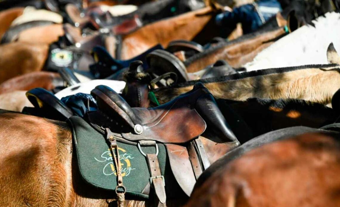Campolinas preparados para a cavalgada