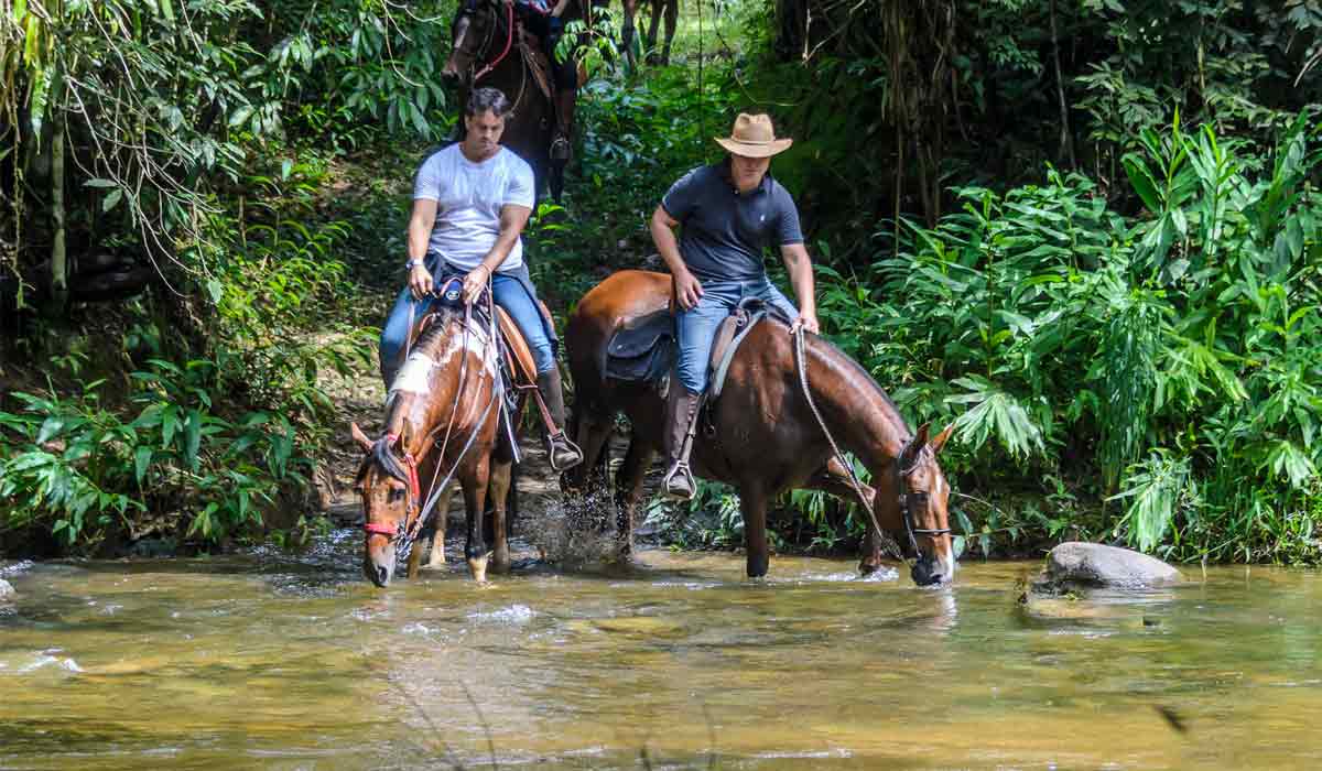 Os participantes cavalgarão por trilhas da região abertas desde a época dos tropeiros, com trajetos dentro da floresta, travessias de rios, subidas e descidas da serra e uma intensa imersão na biodiversidade local - Foto: Sid Bond Os participantes cavalgarão por trilhas da região abertas desde a época dos tropeiros, com trajetos dentro da floresta, travessias de rios, subidas e descidas da serra e uma intensa imersão na biodiversidade local - Foto: Sid Bond