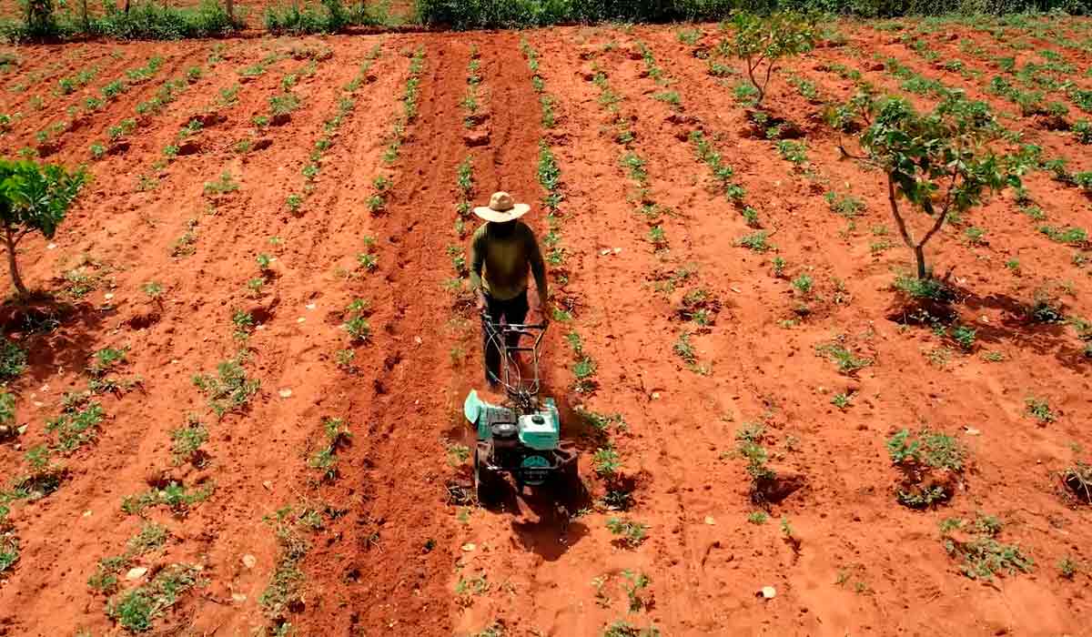 Produtor do MST operando um motocultivador - Foto: BdF/Doc Produtor do MST operando um motocultivador - Foto: BdF/Doc