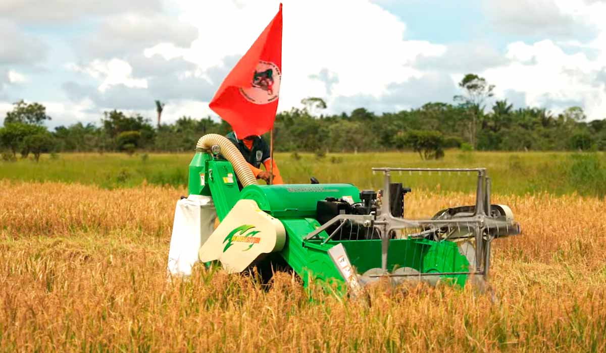 Colheitadeira de arroz em ação - Foto: BdF/Doc Colheitadeira de arroz em ação - Foto: BdF/Doc