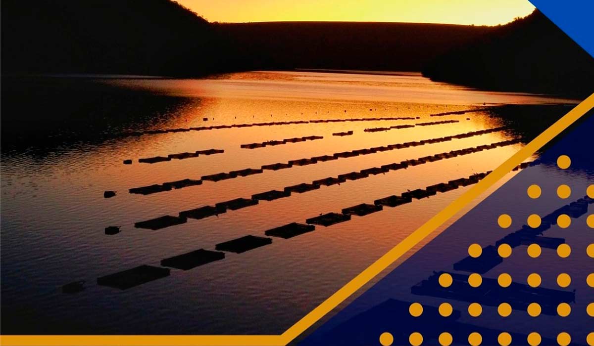 A aquicultura tem se destacado como uma forma de produzir alimentos saudáveis, gerar emprego e renda e reduzir a pobreza e a fome A aquicultura tem se destacado como uma forma de produzir alimentos saudáveis, gerar emprego e renda e reduzir a pobreza e a fome