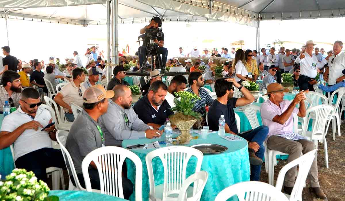 Leilão na Bahia Farm Show, maior feira do norte e nordeste do Brasil, realizada pela Aiba Leilão na Bahia Farm Show, maior feira do norte e nordeste do Brasil, realizada pela Aiba