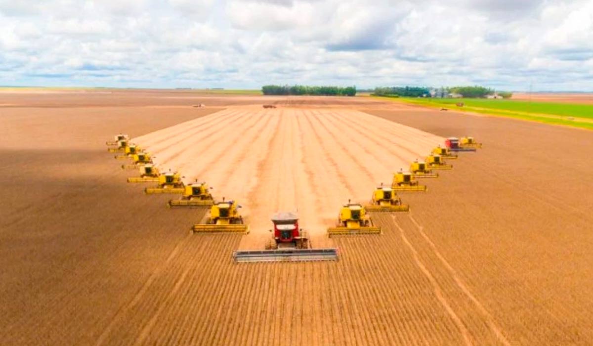Yamila destaca que o modelo de produção agrícola vigente atualmente no Brasil não contribui do ponto de vista tributário e é um dos setores que menos emprega Yamila destaca que o modelo de produção agrícola vigente atualmente no Brasil não contribui do ponto de vista tributário e é um dos setores que menos emprega