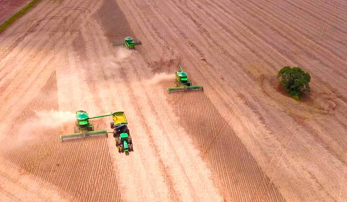 Desde os anos 2000, o país vem perdendo sistematicamente área de cultivo de alimentos, dando lugar a grandes monoculturas - Foto: Sergio Lima/AFP Desde os anos 2000, o país vem perdendo sistematicamente área de cultivo de alimentos, dando lugar a grandes monoculturas - Foto: Sergio Lima/AFP