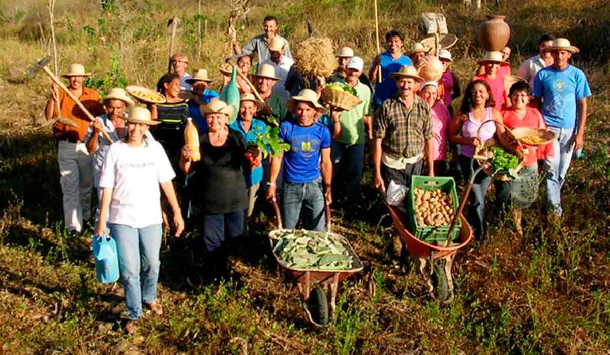 Reforma agrária reduz pobreza no campo e alivia tensões sociais nas zonas urbanas - Foto: Codevasf Reforma agrária reduz pobreza no campo e alivia tensões sociais nas zonas urbanas - Foto: Codevasf