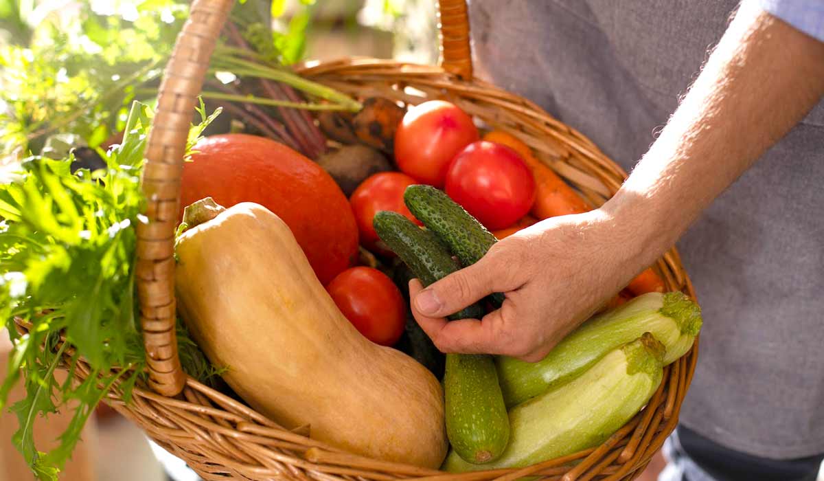 Comida mais cara tem a ver com a falta de reforma agrária Comida mais cara tem a ver com a falta de reforma agrária