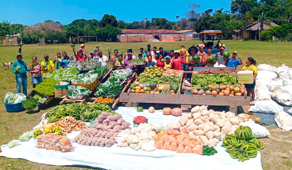 O Programa de Aquisição de Alimentos (PAA) do governo brasileiro visa promover a segurança alimentar e nutricional, comprando alimentos da agricultura familiar para distribuir a populações em situação de vulnerabilidade social O Programa de Aquisição de Alimentos (PAA) do governo brasileiro visa promover a segurança alimentar e nutricional, comprando alimentos da agricultura familiar para distribuir a populações em situação de vulnerabilidade social