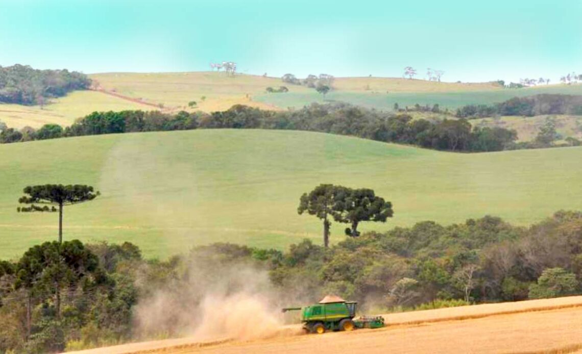 Livro aborda a história da agricultura paranaense