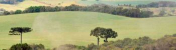 Livro aborda a história da agricultura paranaense