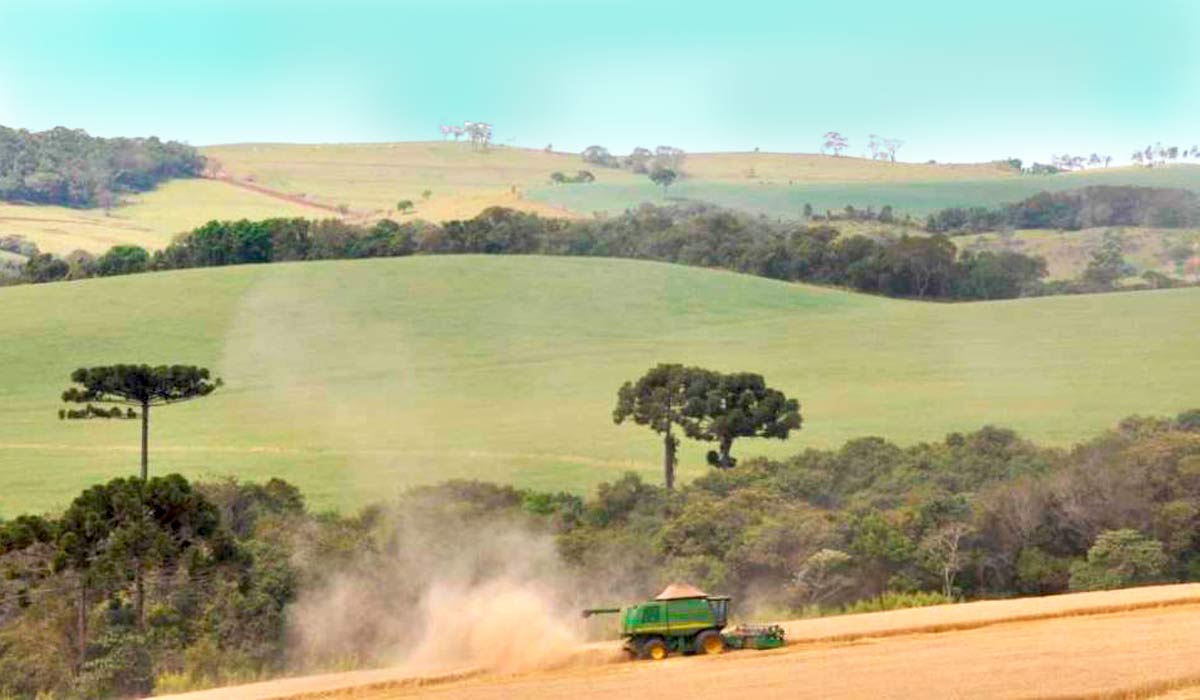Livro aborda a história da agricultura paranaense
