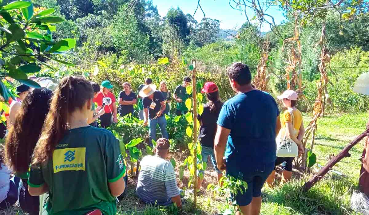 Prática no dia de campo