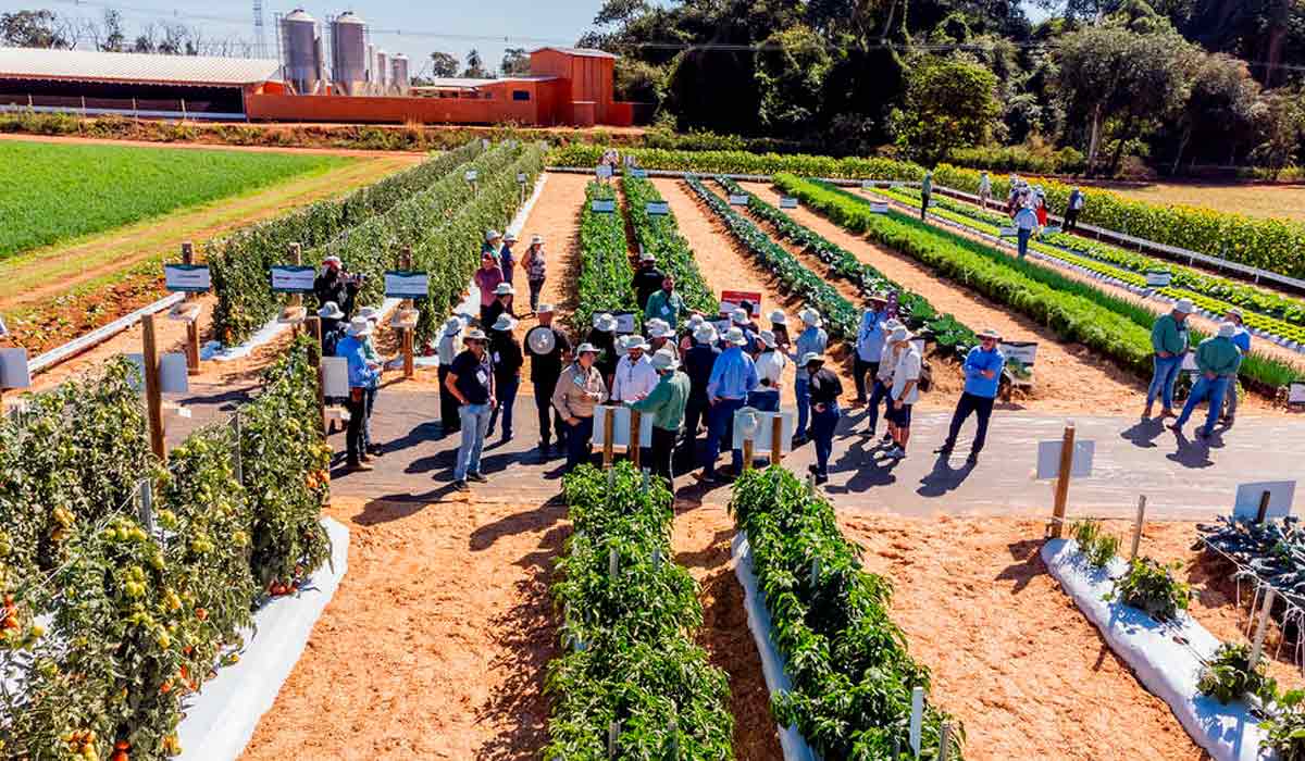 Grupo no dia de campo